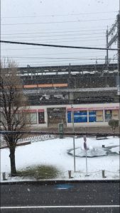 季節外れの雪