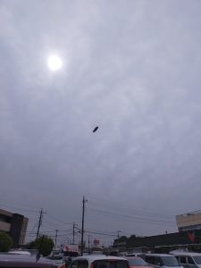 空飛ぶくじら