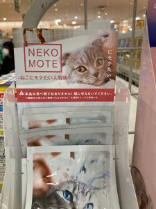 猫にモテたい