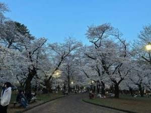 屋根の内側