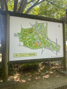 真夏の公園