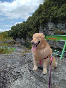 夏休み・・・