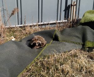 倉庫の住人？？？